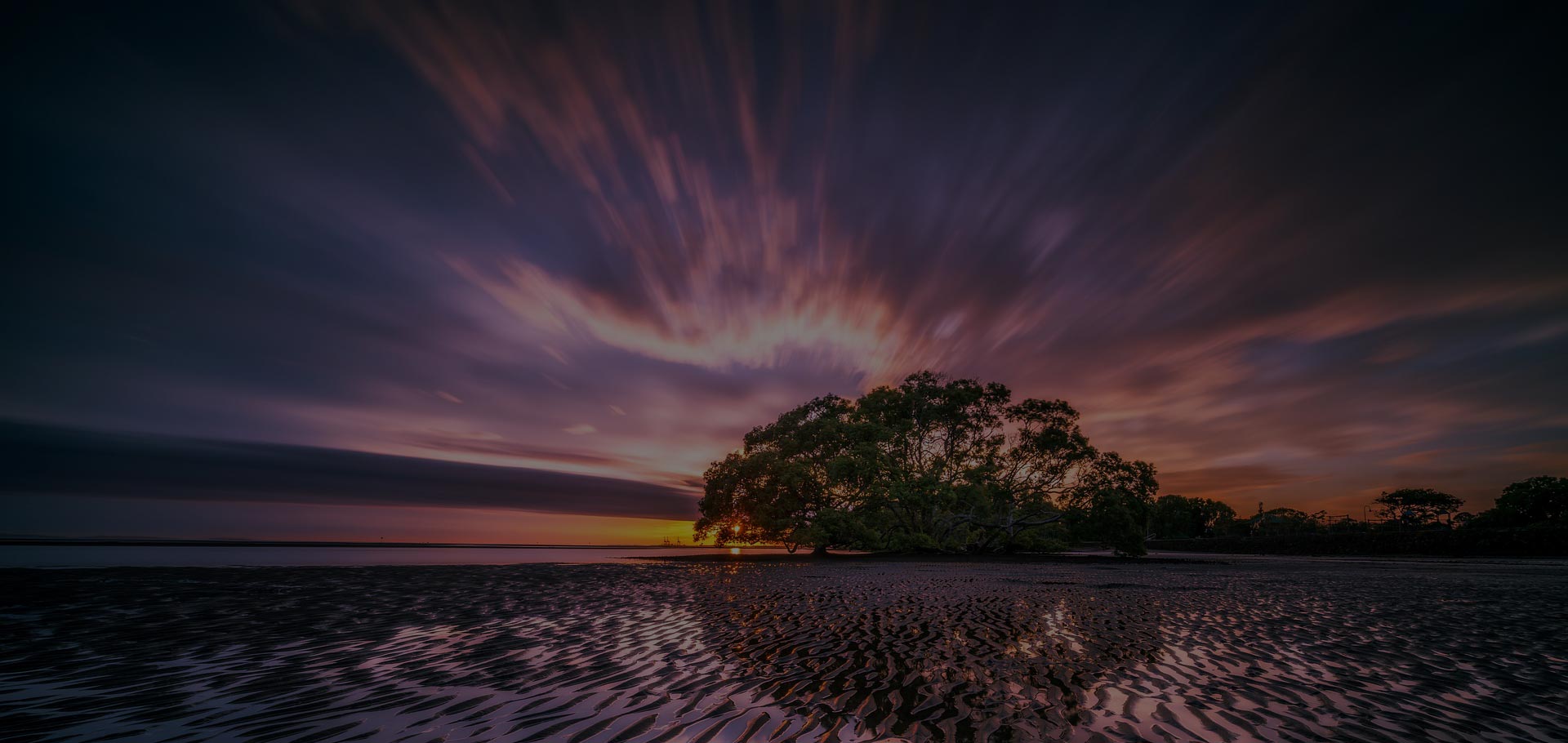 �������������ٷ���վApp����